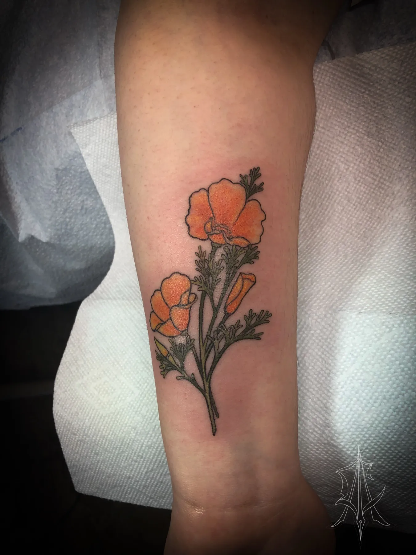 Tattoo by Anna Clarke, portfolio image 16