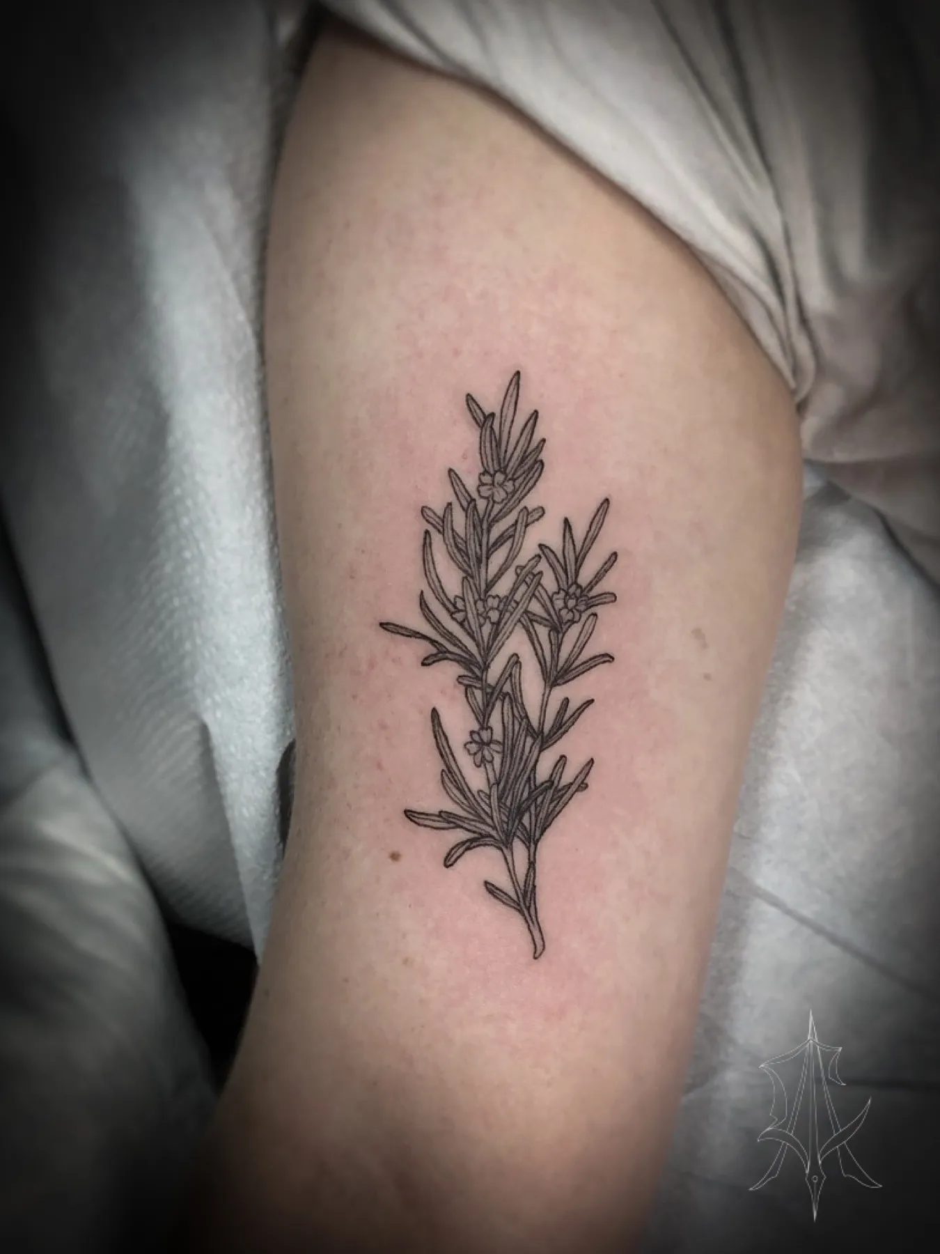 Tattoo by Anna Clarke, portfolio image 19