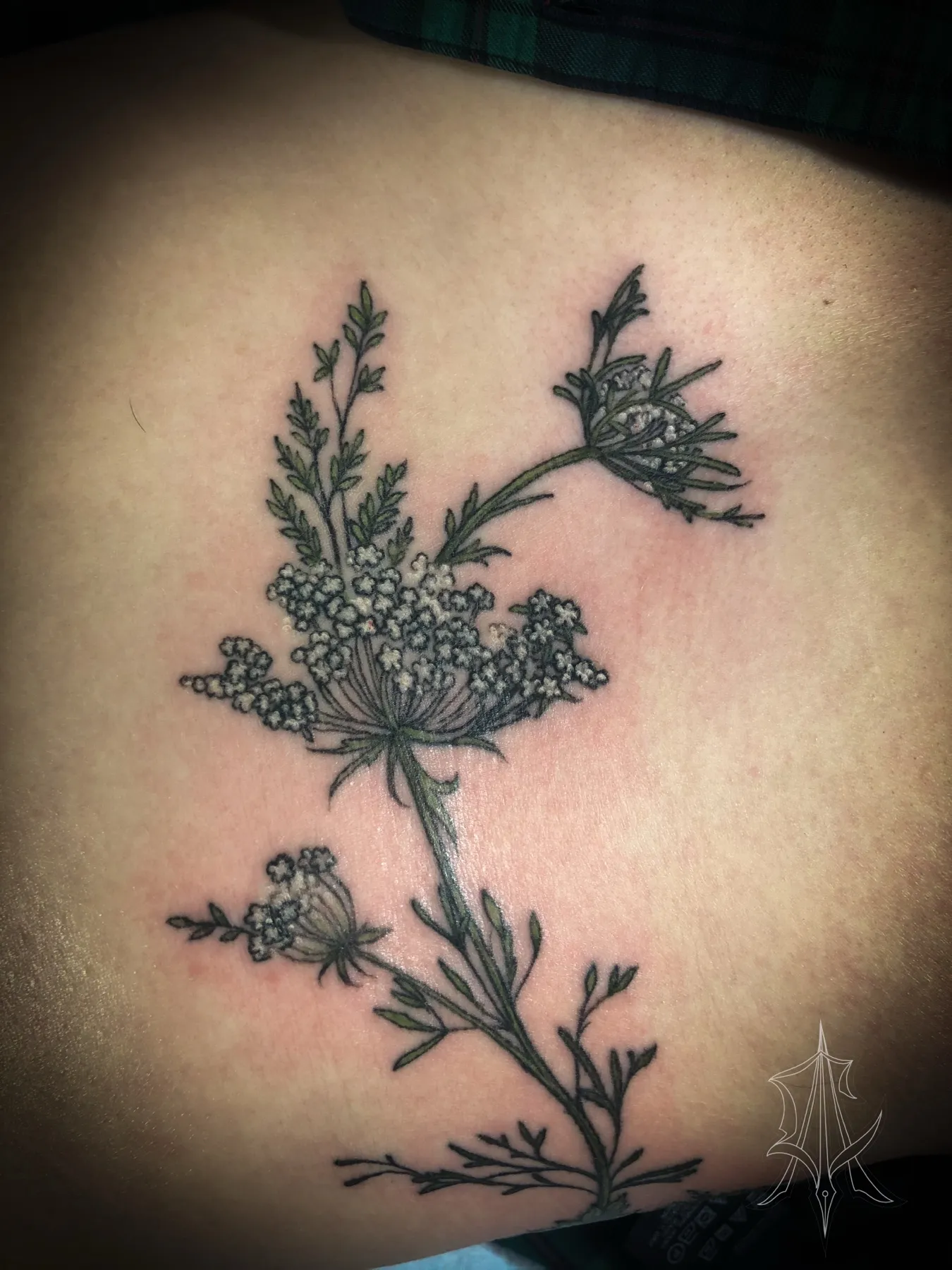 Tattoo by Anna Clarke, portfolio image 21