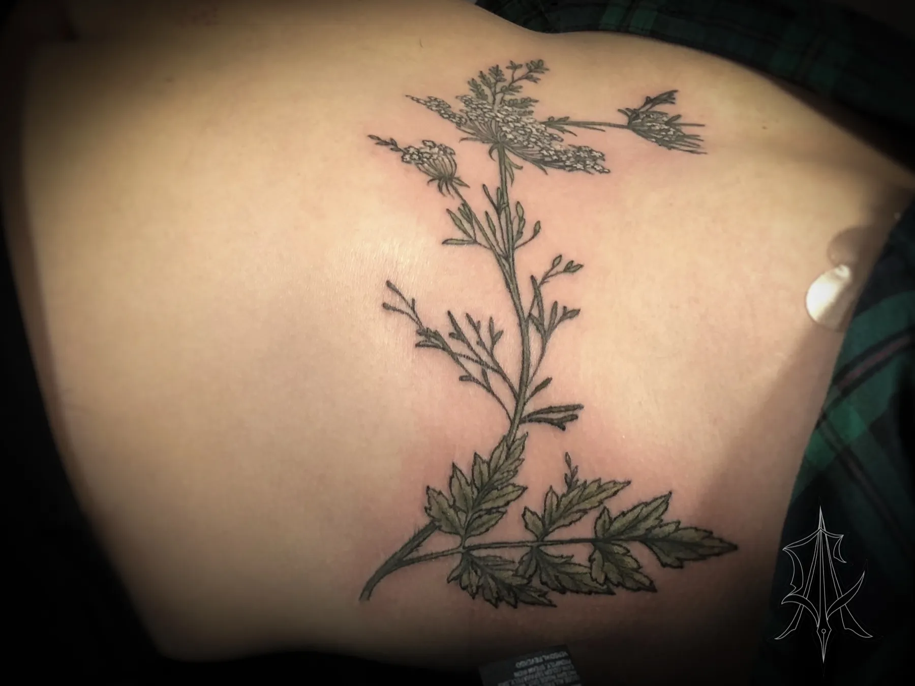 Tattoo by Anna Clarke, portfolio image 22