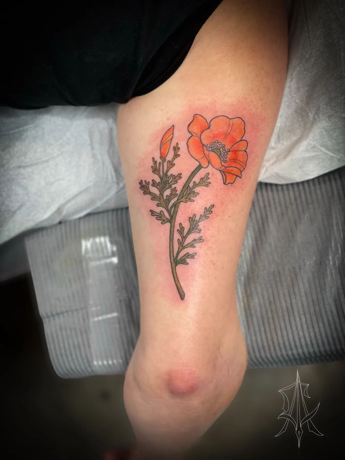 Tattoo by Anna Clarke, portfolio image 31