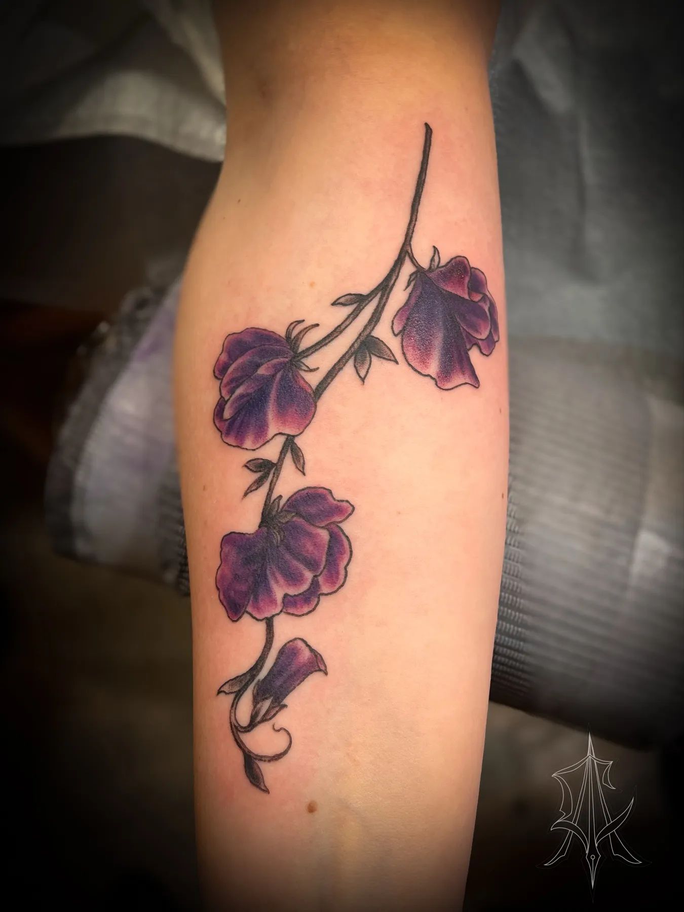 Tattoo by Anna Clarke, portfolio image 36