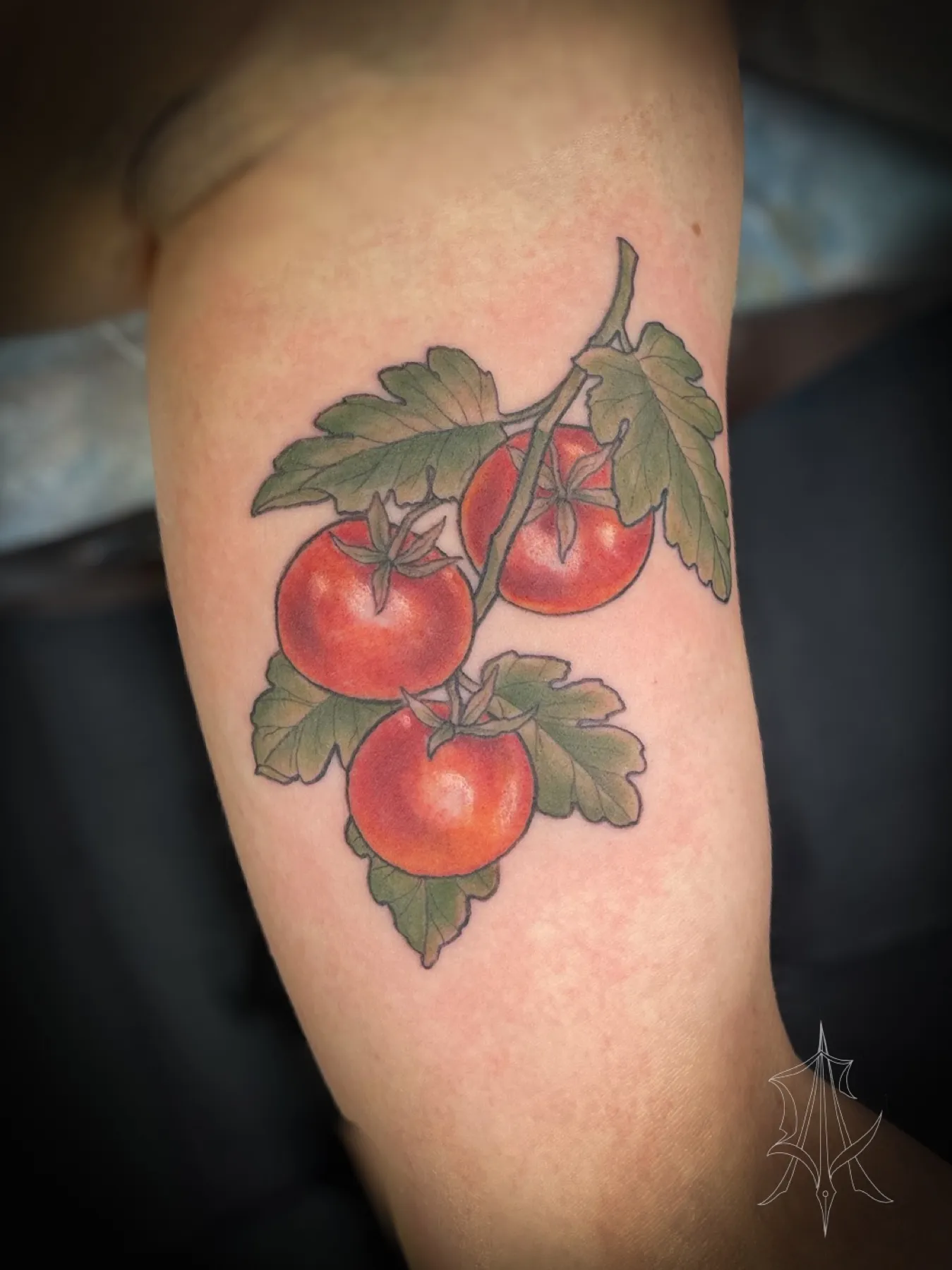 Tattoo by Anna Clarke, portfolio image 37