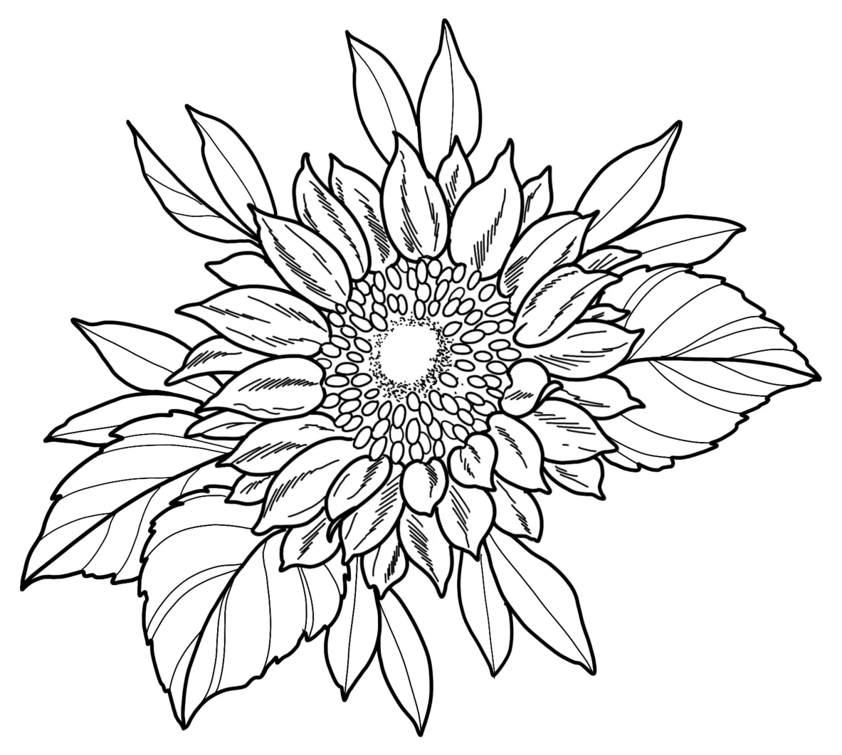 Decorative artwork by Anna Clarke
